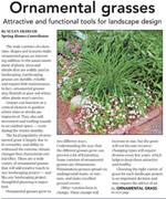 Ornamental grasses newspaper article